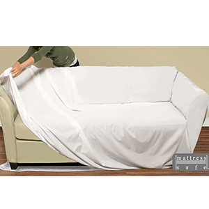 Bedbug Loveseat Cover
